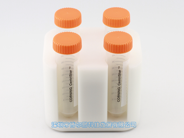 4-4-C-新-3.jpg
