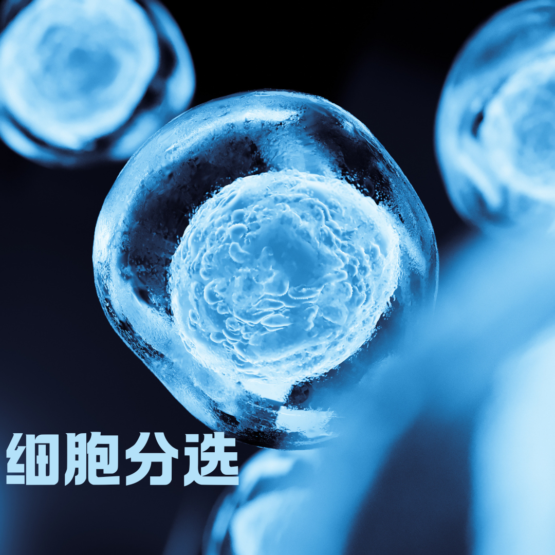 细胞分选