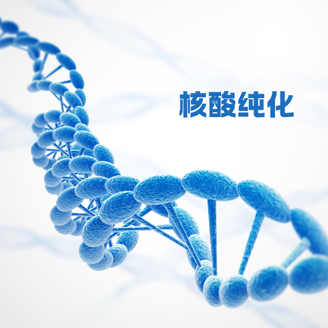 核酸纯化