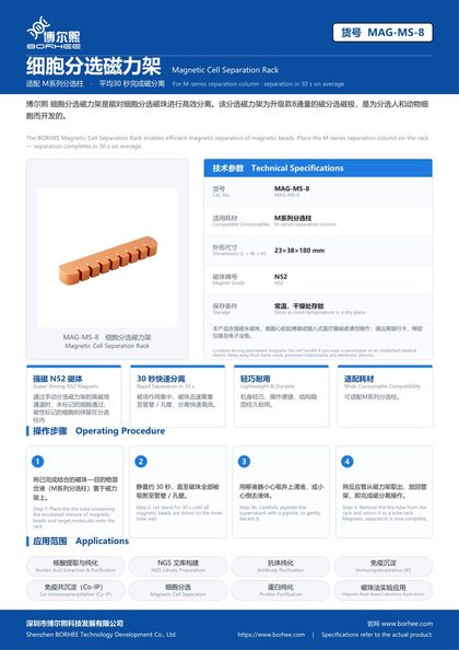 MAG-MS-8 细胞分选磁力架 产品彩页